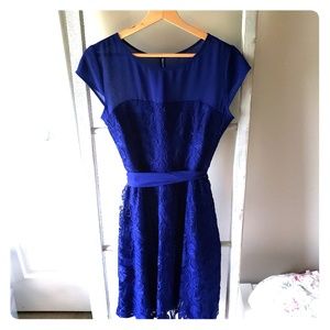 New Dress Barn Blue Lace Dress